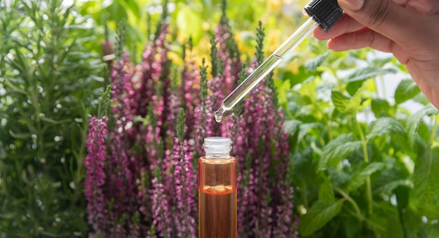 Aromaterapia co to – odkryj jej niezwykłe właściwości